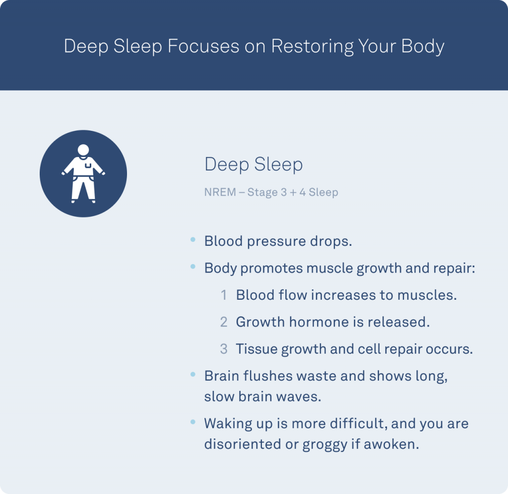 What Are The 4 Stages Of Sleep & What Does Each Stage Do?