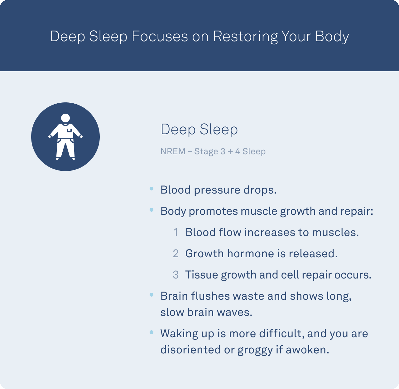 How Sleep Helps Muscle Recovery and Growth - The Pulse Blog