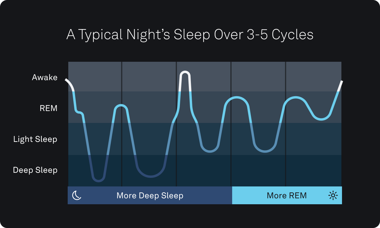 Deep sleep occurs more in the first half of the night while REM occurs during later sleep cycles.