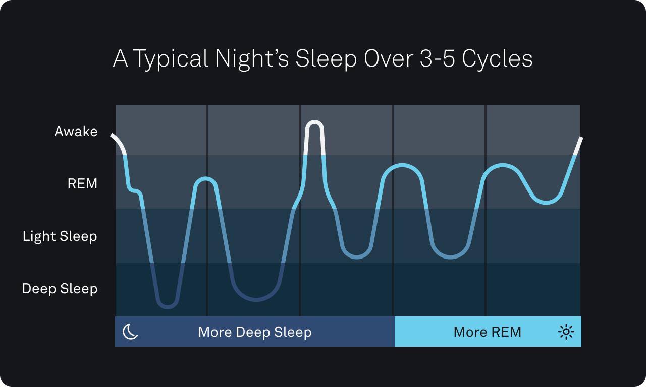 How Many Sleep Cycles Should You Have A Night