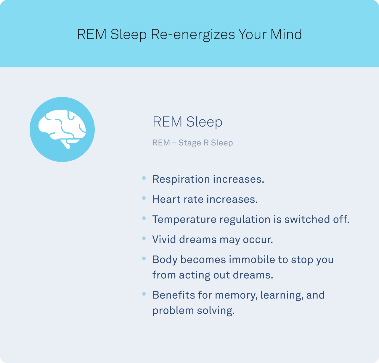 Stages of Sleep: What Happens in a Sleep Cycle