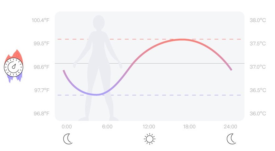 Normal Body Temperature & How It Fluctuates