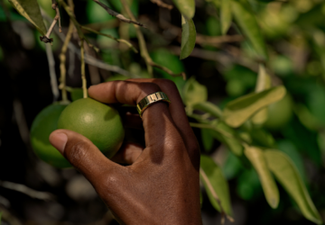 Hand grabbing a lime wearing an Oura Ring