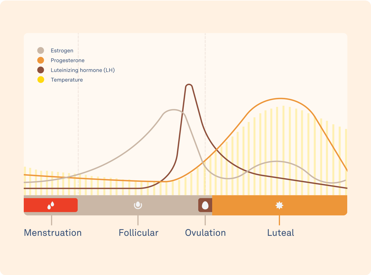 Days between ovulation and 2024 menstruation