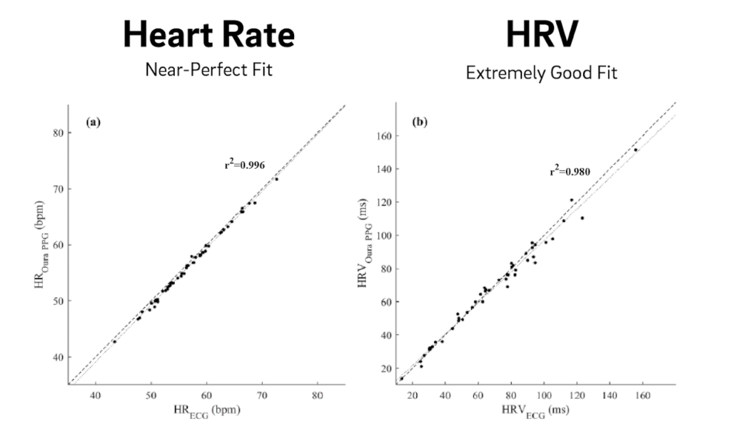 How Accurate Is Oura Ring?