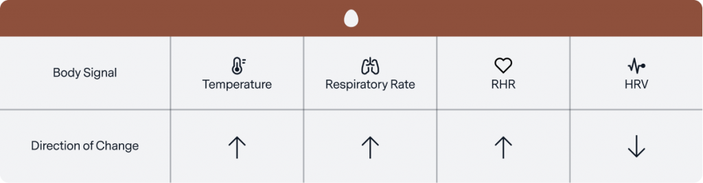 Luteal Phase Toolkit -- How to Support Your Body + Symptoms