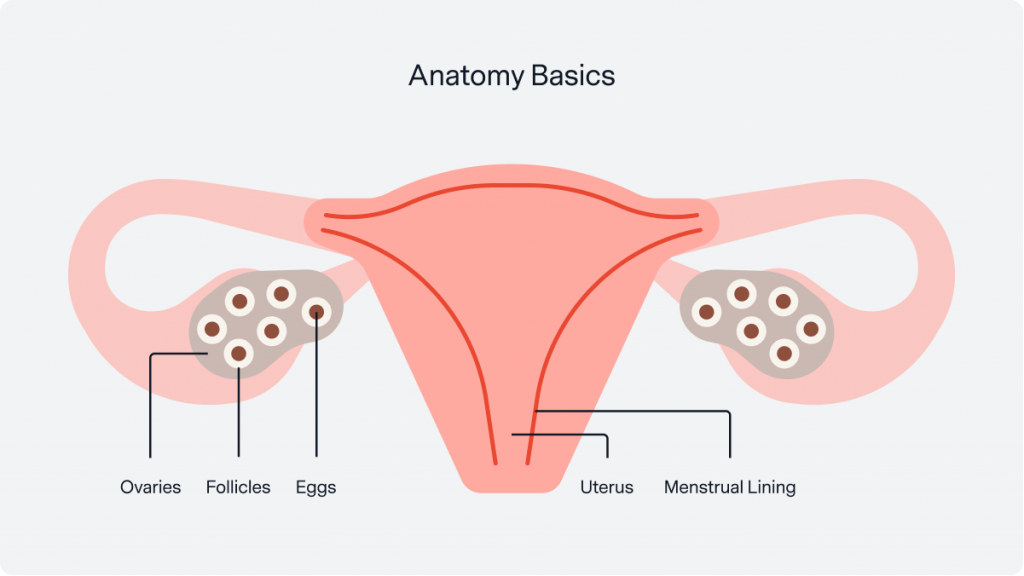 Do you know your flow?🩸 Tracking your menstrual cycles can help you  understand what's normal for you, time ovulation and identify important  changes —