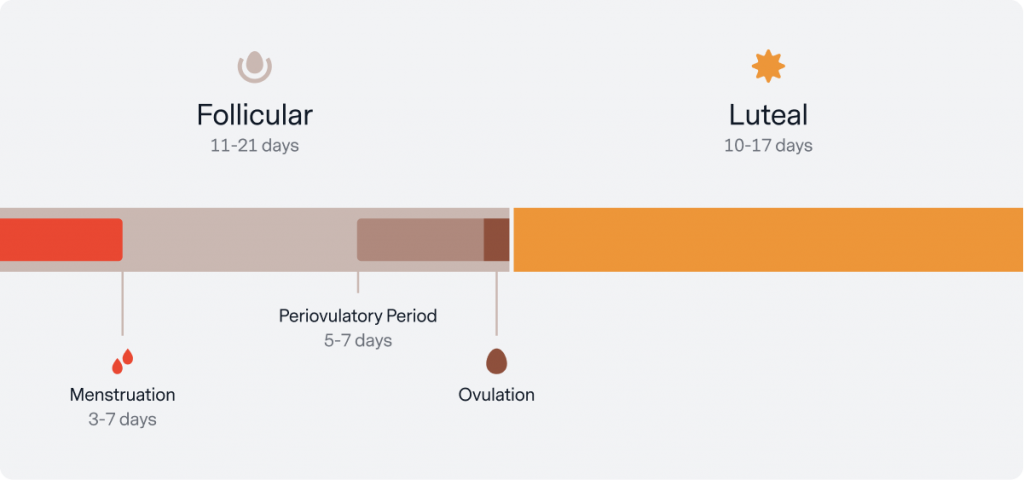 How Your Menstrual Cycle Impacts Your Entire Body - The Pulse Blog