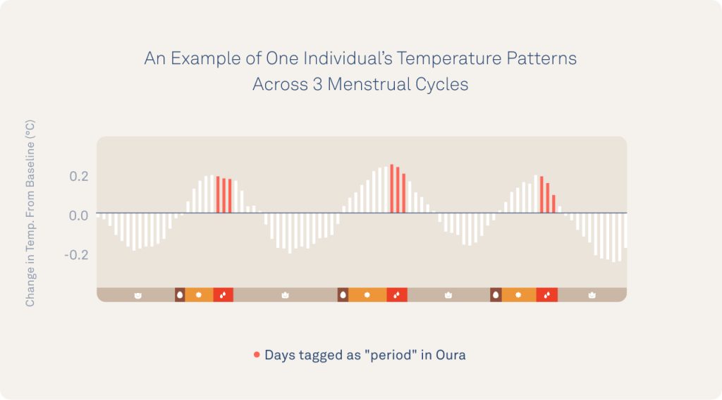 Natural Cycles - The length of the luteal phase is relatively