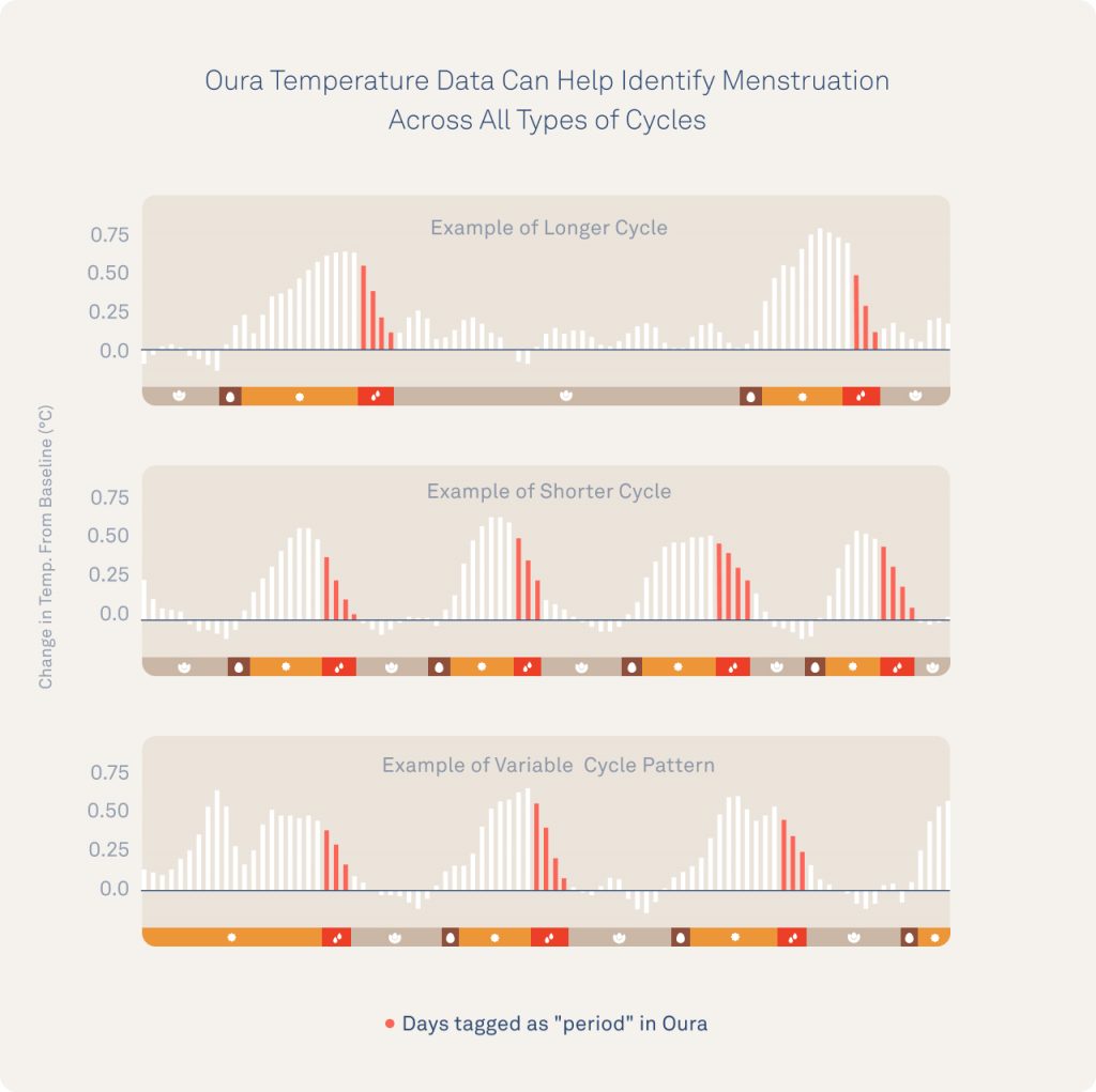 How Oura Data Can Help You Understand Your Menstrual Cycle - The Pulse Blog