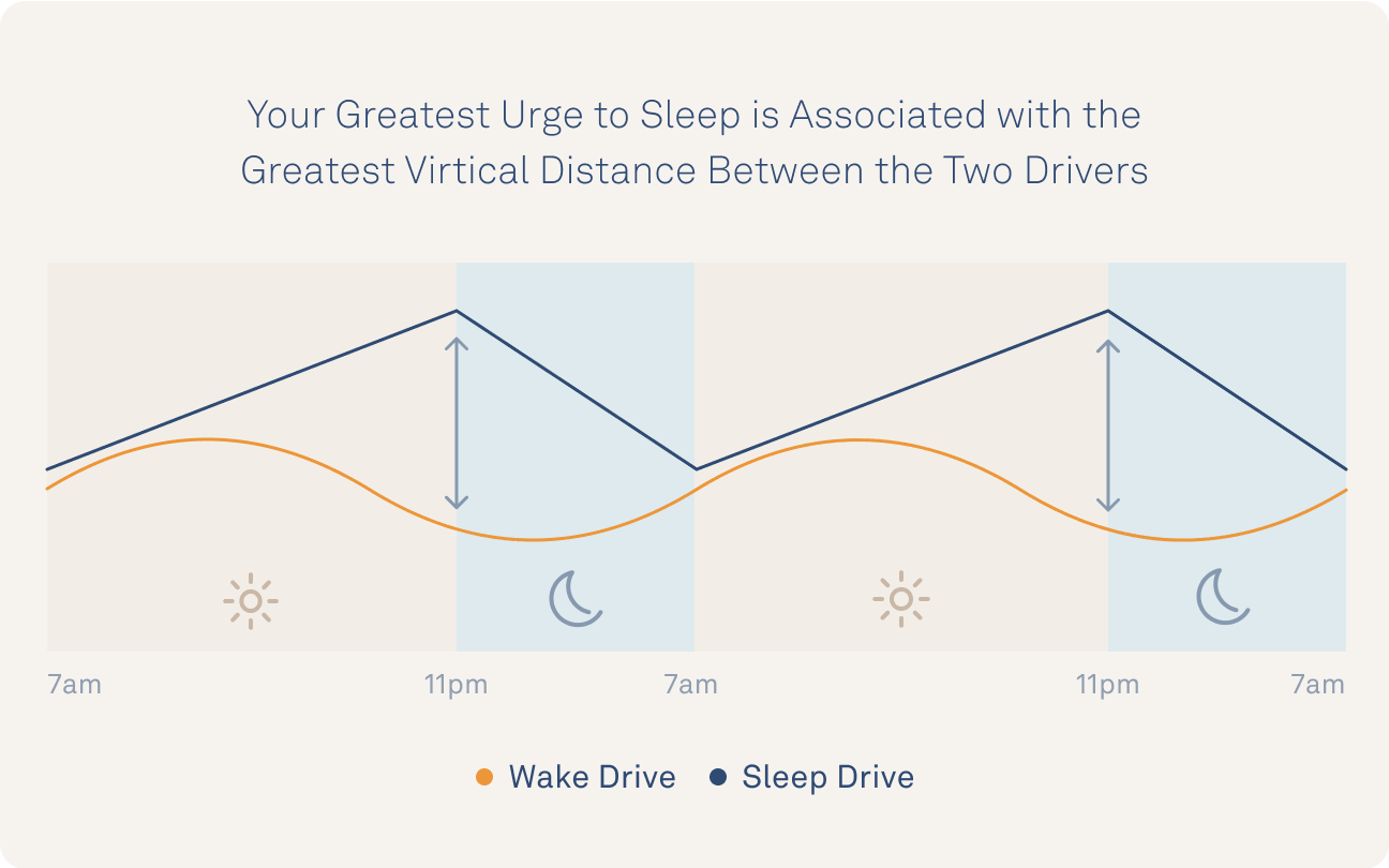 how-long-should-you-nap-is-there-a-perfect-nap-length-the-pulse-blog