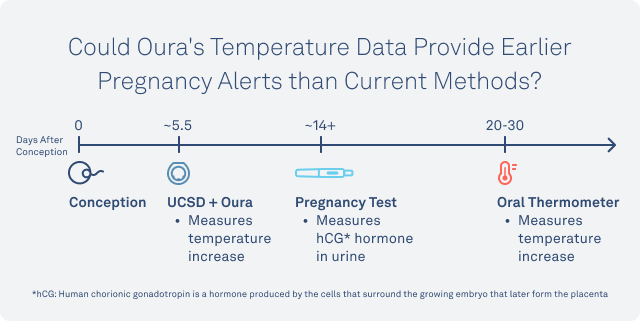 understanding-your-basal-body-temperature