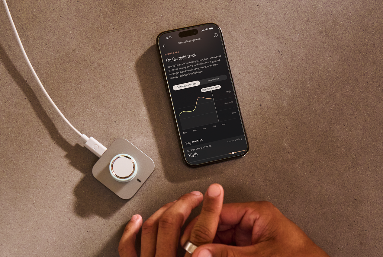 oura's daytime stress feature
