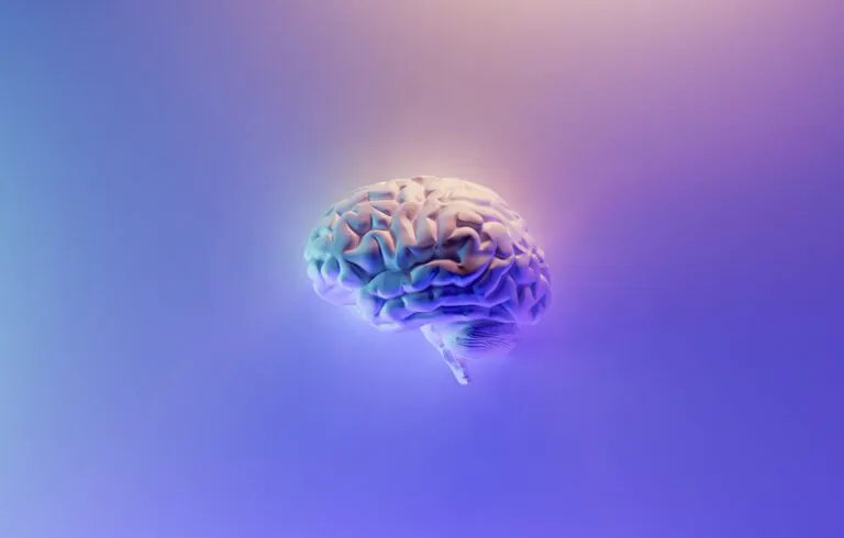 Brain